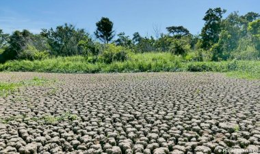 Pantanal perde 74% da água desde 1985, e pesquisadores dizem que Brasil está secando