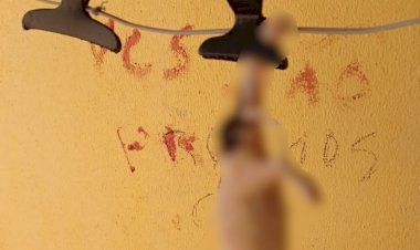 Homem é preso suspeito de pular muro da vizinha, matar cachorros dela e escrever com sangue dos animais: 'Vocês são os próximos'