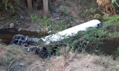 Motorista morre após ser picado por abelhas na BR-153 em São Luiz do Norte
