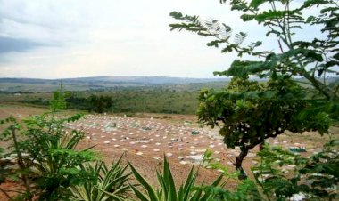 Descubra lugares em Goiás onde os pets podem descansar em paz