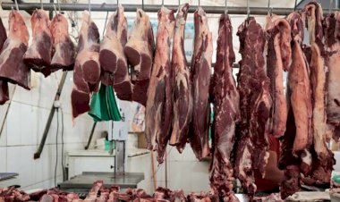 Preço da carne bovina cai, mas diferença não chega ao consumidor
