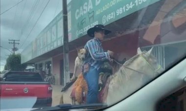Em Goiás: Cachorro passeia montado a cavalo junto com o dono