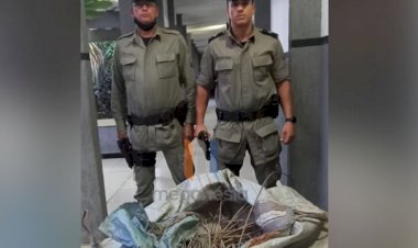 Homem é preso suspeito de furtar fio de energia no Módulo Esportivo de Goianésia; Material é recuperado