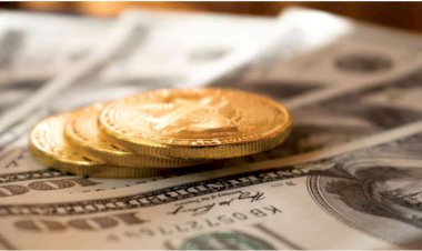 Renda fixa com criptomoedas? Conheça técnica que já rendeu até 70.000 por cento