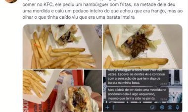 Barata no lanche: cliente diz ter mordido inseto em rede de fast-food; 'fiquei sem reação'
