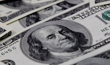 Dólar vai subir ou cair em 2022? Até quanto chega? Especialistas comentam
