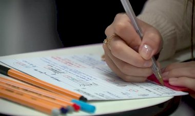 Projeto oferece bolsas de estudo integrais para cursos de graduação; veja como participar