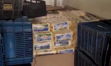 Em Goiás: Polícia Rodoviaria apreende cerca de 10 toneladas de queijo irregular na BR-153
