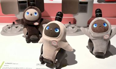 Bilionário japonês agora aposta em robôs ‘emocionais’ para humanos