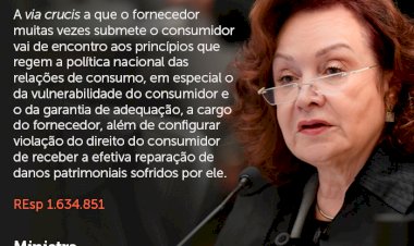 A teoria do desvio produtivo: inovação na jurisprudência do STJ em respeito ao tempo do consumidor