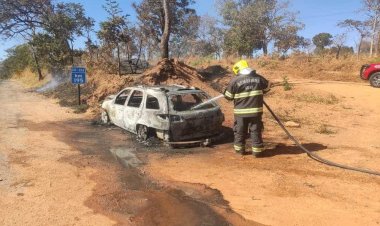 Em Goiás: Carro pega fogo e chamas causam incêndio às margens da GO-213
