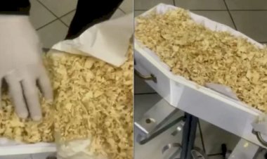 Família abre caixão e acha serragem no lugar de corpo de bebê