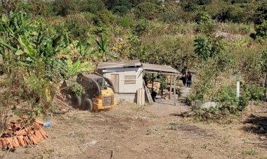 Grupo é multado em mais de R$ 200 mil por desmatar área de preservação ambiental para plantar mandioca, diz prefeitura