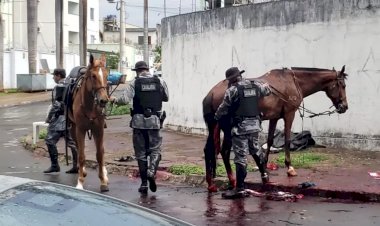 Motorista que atropelou cavalaria da PM e matou égua passa a responder por lesão corporal após acusação de tentativa de homicídio