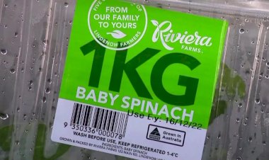 Espinafre contaminado causa alucinações e outros sintomas em mais de 200 pessoas