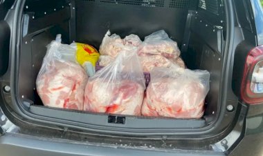 Em Goiás: Abatedouro clandestino é suspeito de vender carne de cavalo