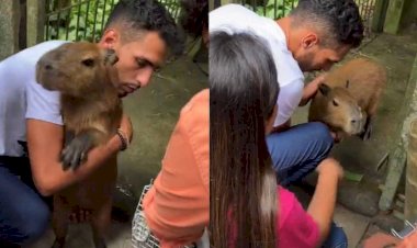 Tiktoker recupera capivara Filó depois de liminar da Justiça