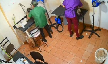Laudo confirma que agressões causaram morte de cadela em pet shop de Goiânia