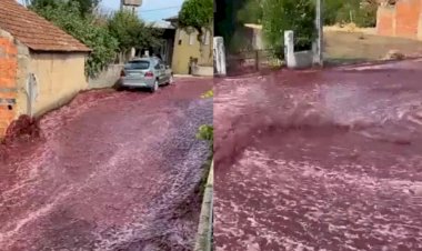 'Rio de vinho tinto' inunda ruas de Portugal após destilaria se romper
