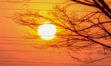 Inmet prevê onda de calor até a próxima terça-feira, em Goiás