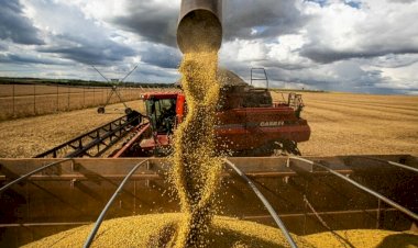 Goiás tem três municípios entre os 15 mais ricos do agronegócio no Brasil