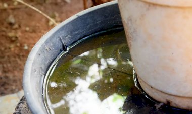 Prefeitura de Ceres alerta para aumento de casos de dengue no período chuvoso