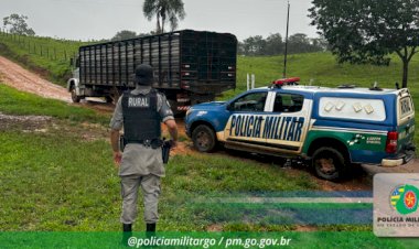 Batalhão Rural da Policia Milita impede furto de 61 cabeças de gado em Jaraguá