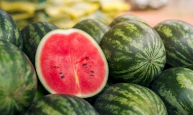 Benefícios de comer melancia todos os dias: o que acontece com o seu corpo quando você ingere a fruta com frequência