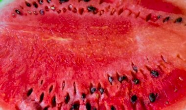 Veja 5 benefícios da melancia para a saúde do homem