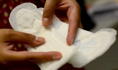 Projeto propõe três dias de licença para mulheres com problemas menstruais, em Goiás