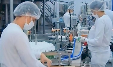 Com falta de insumos, produção de repelentes no Brasil não supre alta demanda