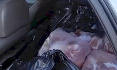 Em Goiás: PRF apreende meia tonelada de carne transportada