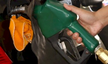 Preço médio de etanol e gasolina ficam estáveis na primeira quinzena de agosto