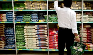 Cesta básica custa 54,4% do salário mínimo em Goiás; veja como é em outros estados