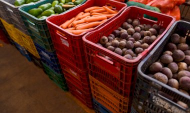 Frutas e verduras ficaram mais caros em Goiás no mês de novembro