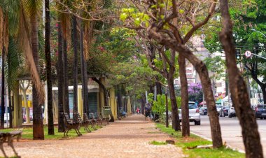 ‘Fazenda asfaltada’: influenciador ironiza críticas a Goiânia e viraliza