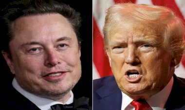 Elon Musk rompe com Trump, fala em impeachment e expõe possível envolvimento com escândalo sexual