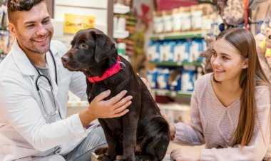 Com mudança na lei, animais podem deixar de ser tratados como ‘coisas’ no Brasil; entenda
