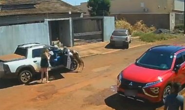 TJGO afasta oficial de justiça que atirou contra cachorro em Santa Helena
