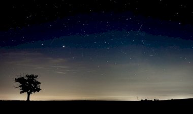 Brasileiros poderão ver chuva de meteoros na noite e terça para quarta (22)