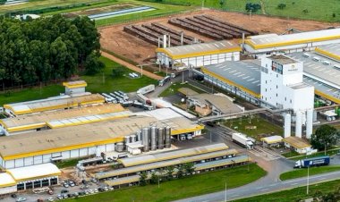 Ranking mostra as 10 maiores empresas de Goiás; veja quais são e quanto faturam