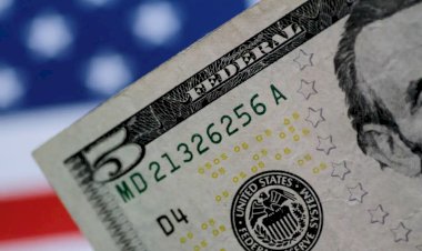 Renda em dólar: 6 formas de buscar retorno em bonds, segundo a Janus Henderson