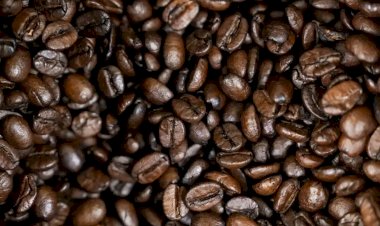 Possível recorde para safra de café do Brasil em 2026 anima setor para repor estoques
