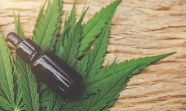 Cannabis medicinal: entenda os benefícios e para quem é indicada