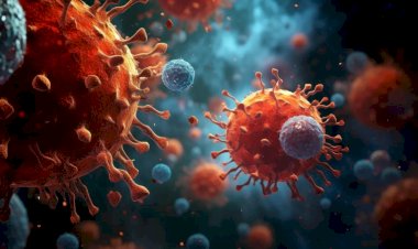 H1N1: dá para prevenir? Entenda mais sobre a doença