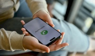 Quer sumir do WhatsApp? Veja como ativar o ''modo invisível''