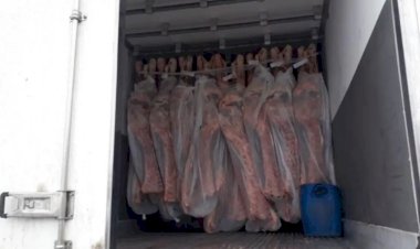 GO: Caminhoneiro flagrado com R$ 37 mi em cocaína é condenado a 10 anos de prisão