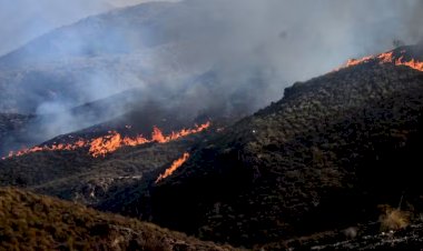 Incêndios florestais atingem Espanha e França enquanto Europa enfrenta terceira onda de calor
