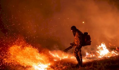 Risco de incêndios faz Estado de Goiás decretar emergência ambiental por 120 dias