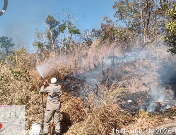 Rompimento de fio de energia causa incêndio e quase atinge condomínio em Goianésia